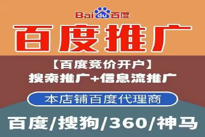 百度推广在体育行业中的营销策略与效果